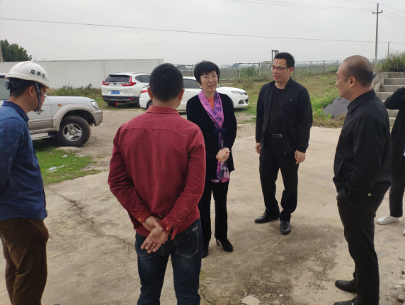 11辛红梅视察项目。。梁荣程 摄700.png