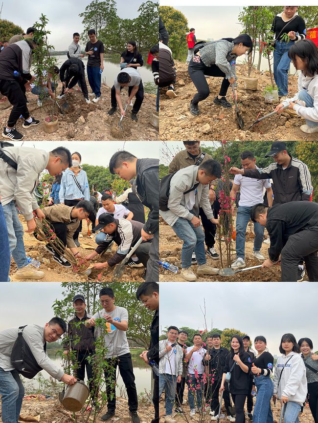 植树现场。。；；畦磋 摄（修图）.jpg