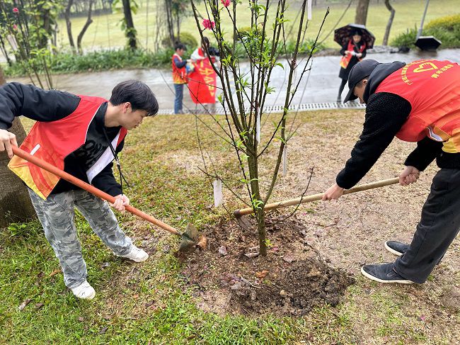 为树苗松土固基。。。。周煜川 摄（修图）.jpg